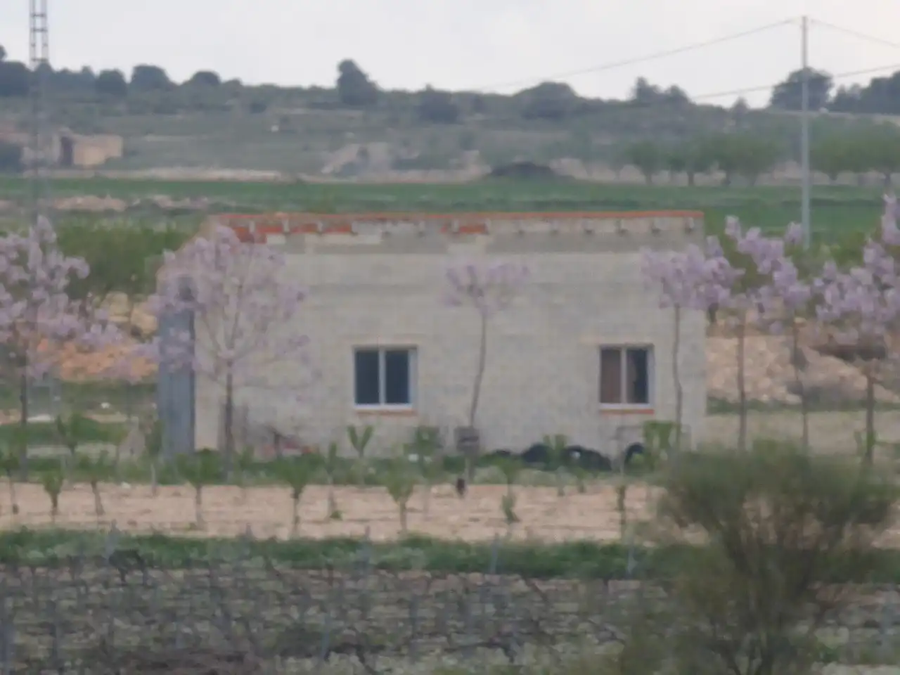 Casa rústica en venta en Yecla, imagen 6
