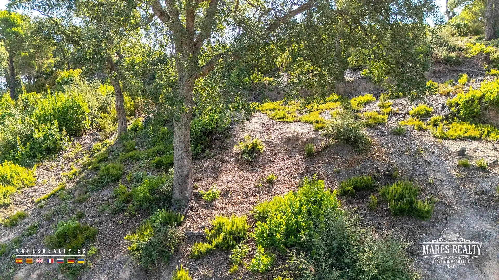 Lands and plots for sale in Lloret Residencial - Montlloret, imagen 8