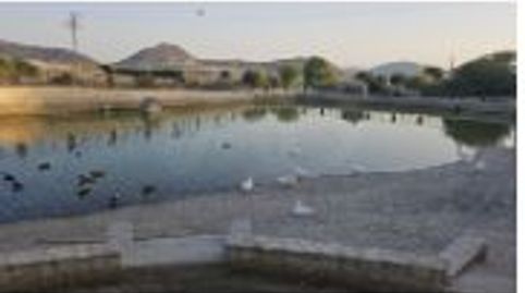 Foto 4 de Finca rústica en venda a Doña Inés, Lorca