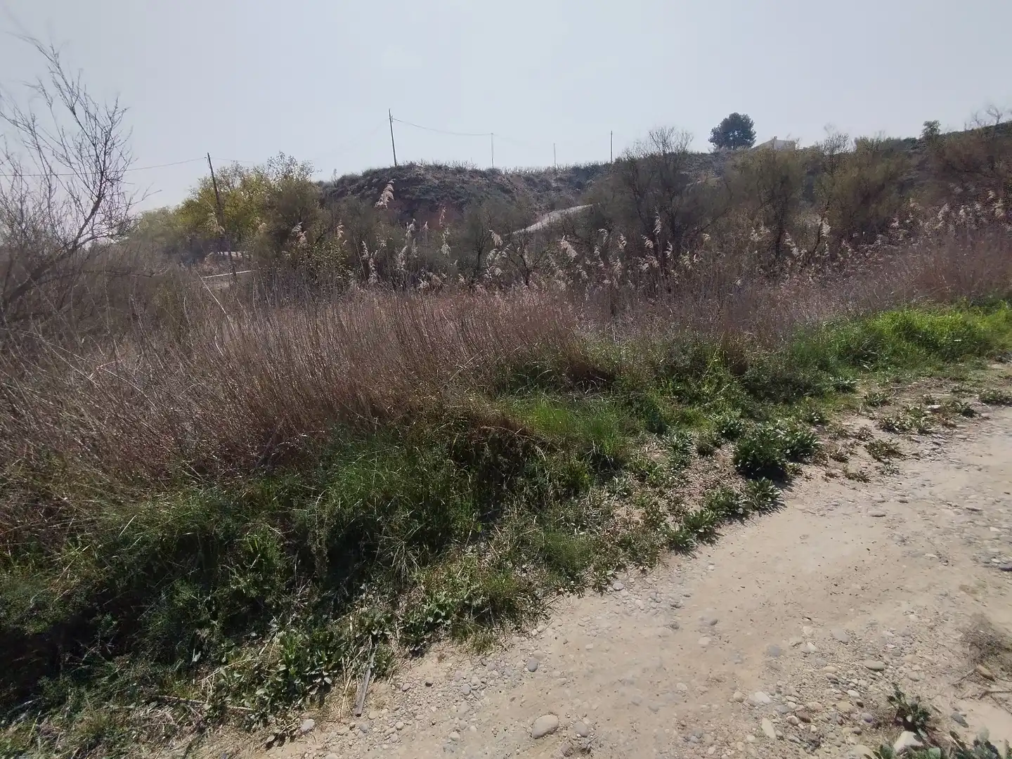Terreni e lotti in vendita a Fraga, imagen 3