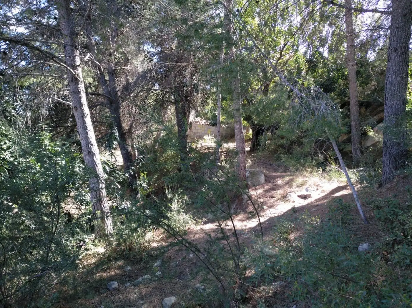 Terreno residenziale in vendita a Gestalagar, imagen 5