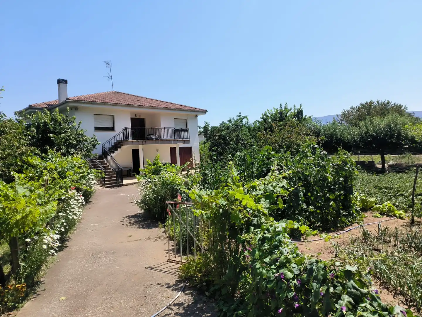 Jardín de Casa o chalet en venta en Medina de Pomar con Calefacción, Jardín privado y Terraza
