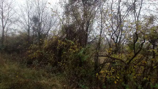 Terreno rustico in vendita a Aigua de la Baells, imagen 12