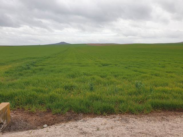 Terreno en Venta en Plaza de España, 10 en Villanueva de la Serena