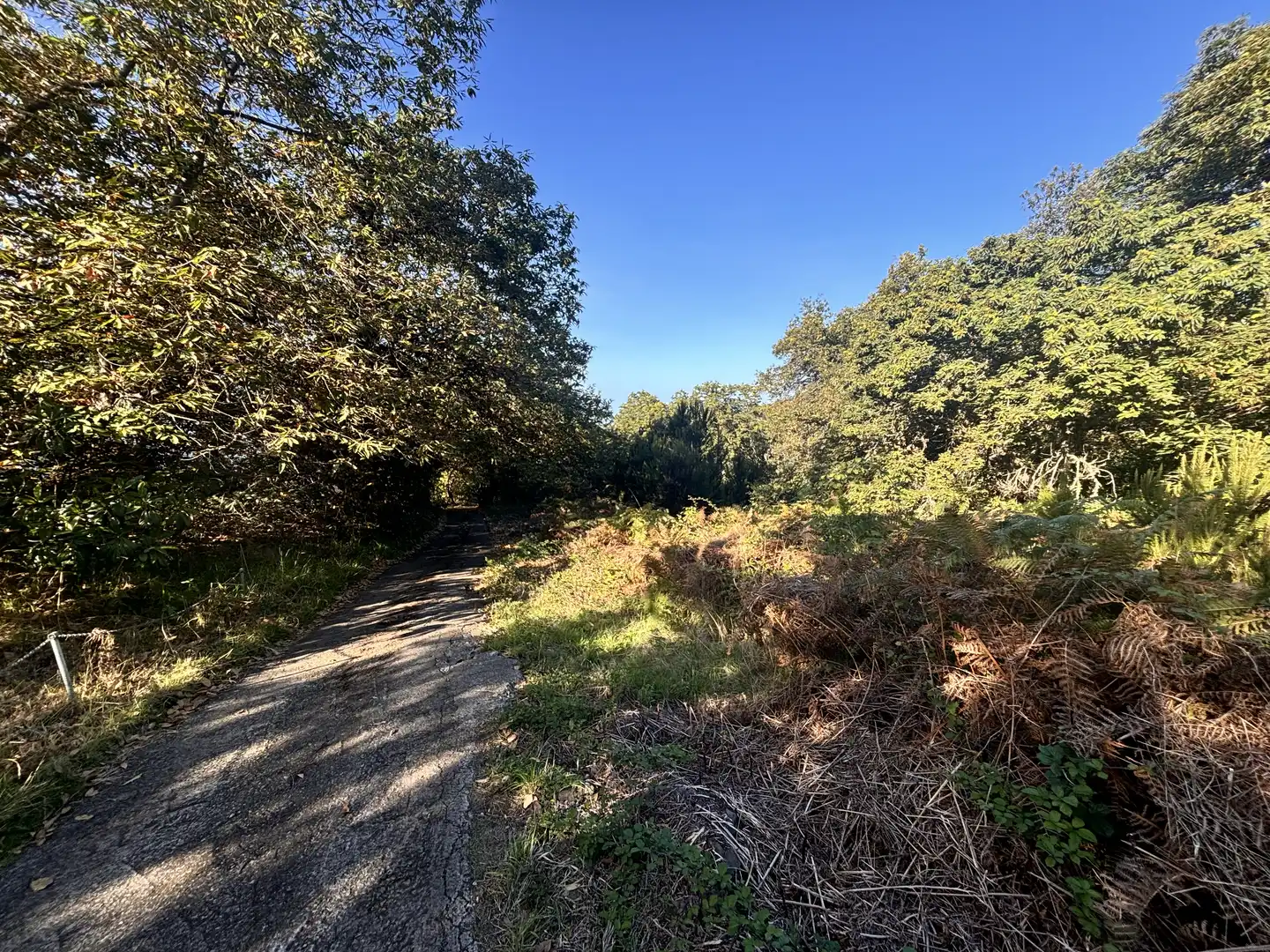 Terreno rustico in vendita a Lugar el Balayo, imagen 19