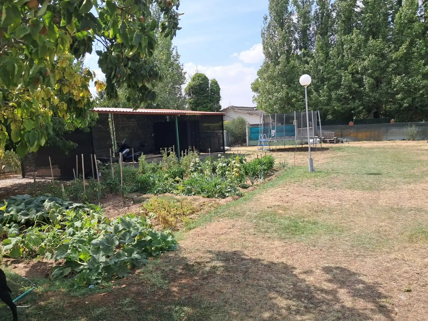 Garten von Wohnung zum Verkauf in La Vellés  mit Privatgarten und Schwimmbad