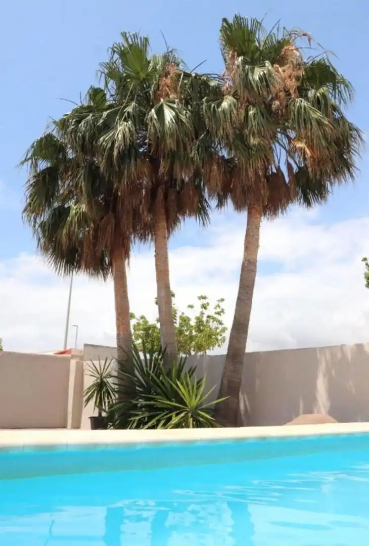 Vista exterior de Planta baja de alquiler en Puçol con Aire acondicionado, Calefacción y Jardín privado