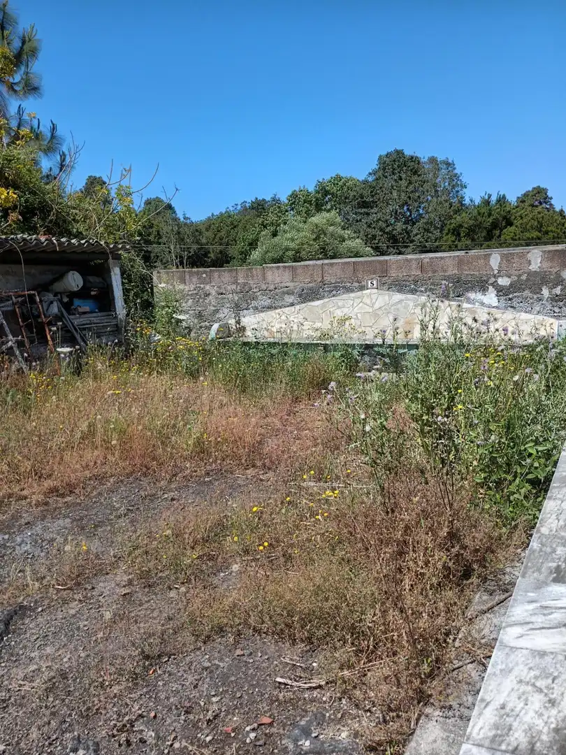 Finca rústica en venta en Garachico