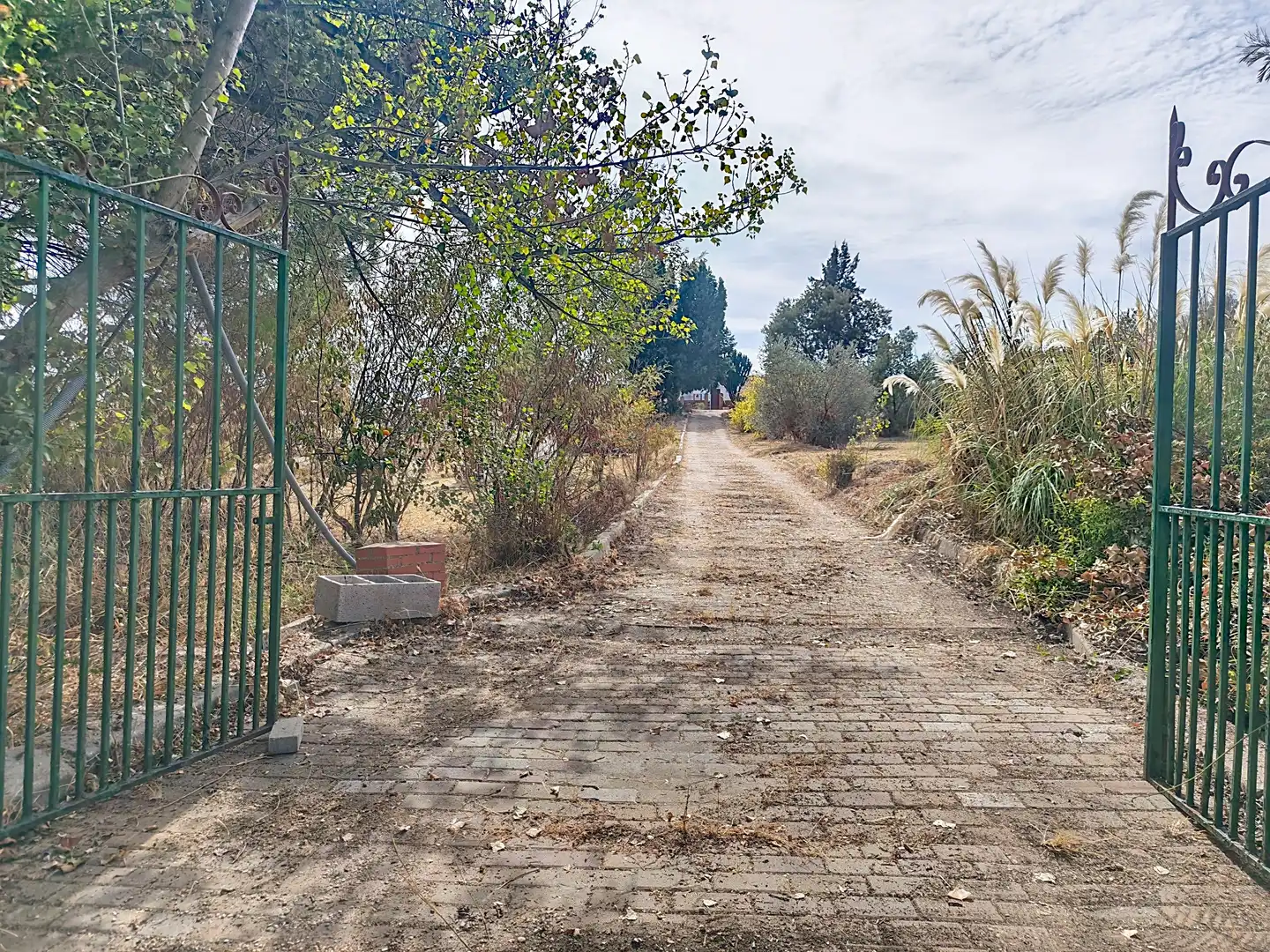 Casa rústica con piscina en venta en Gibraleón, imagen 2