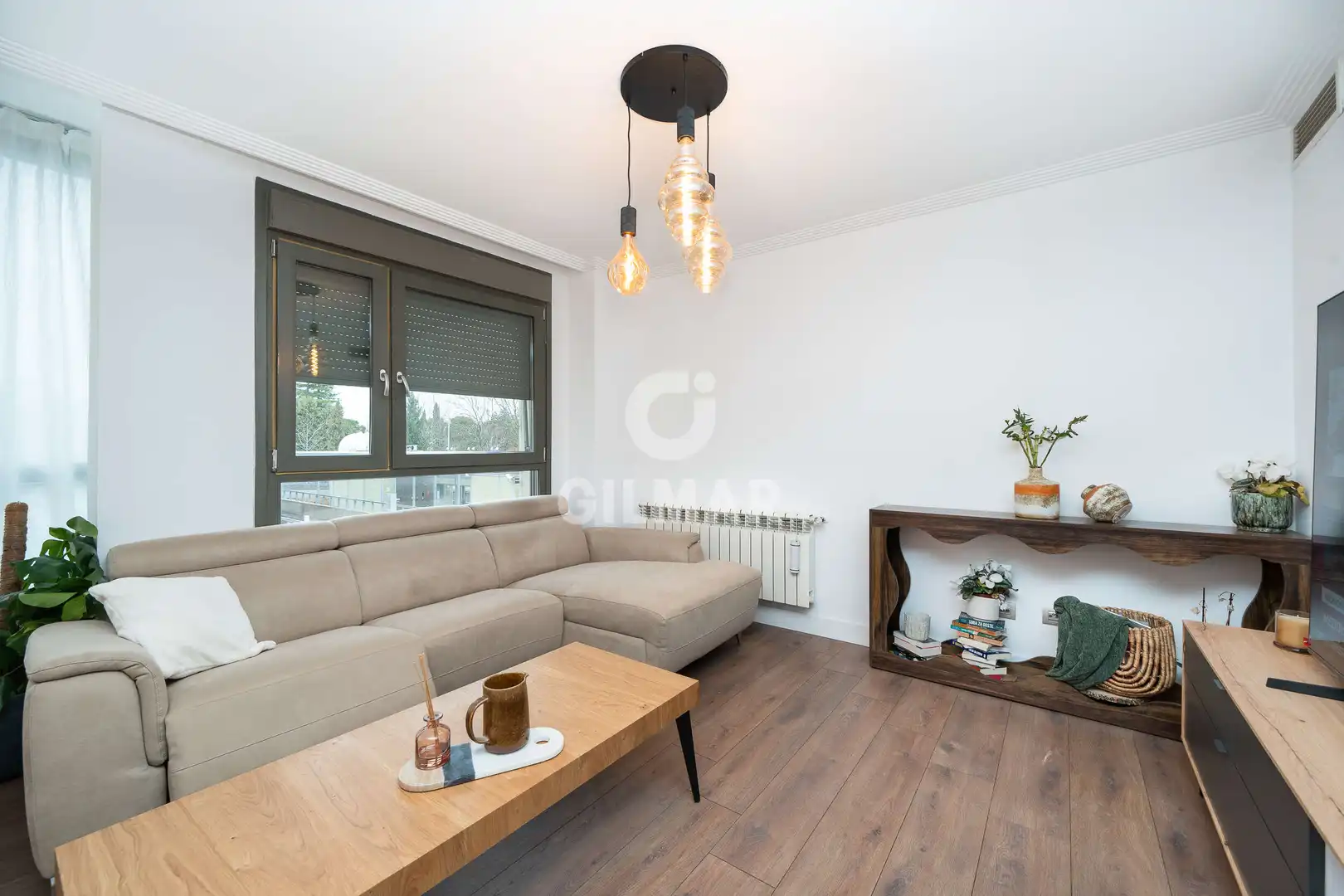Living room of Flat for sale in Madrid  with Heating, Private garden and Storage room