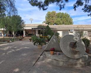 Garden of House or chalet for sale in Elche / Elx  with Private garden and Swimming Pool