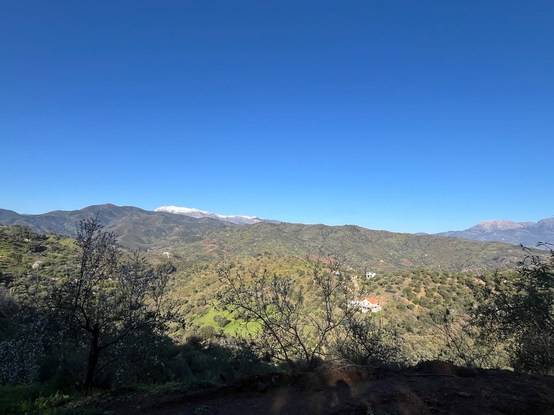 Außenansicht von Grundstücke zum verkauf in Monda
