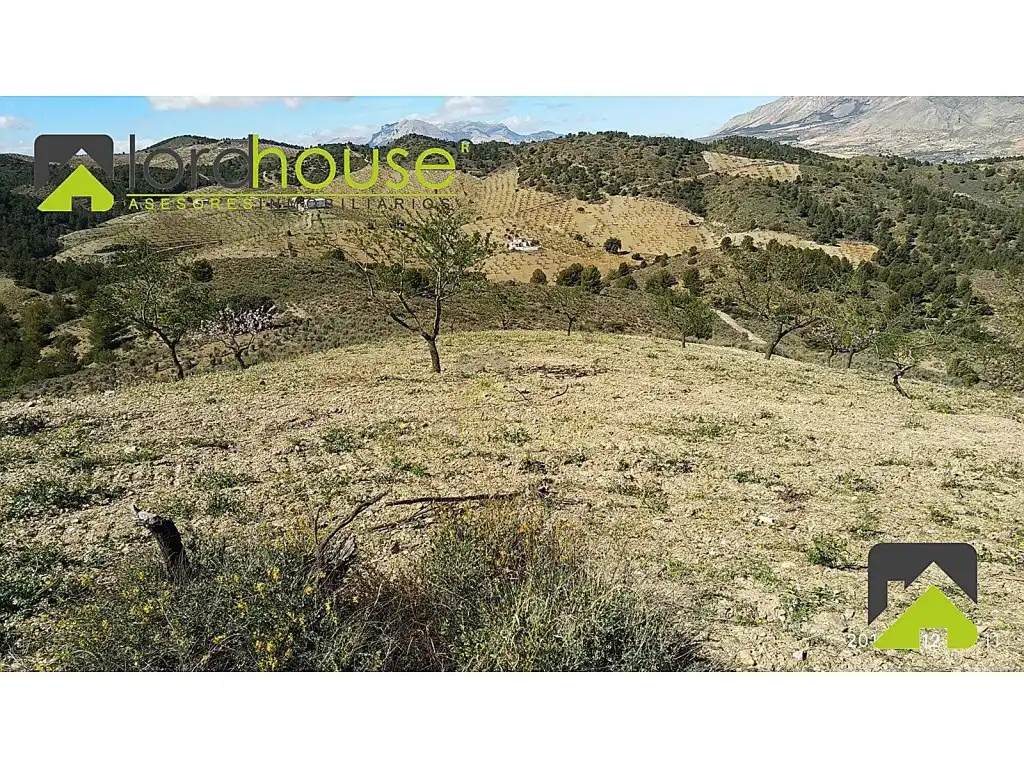 Finca rústica en venta en Lorca