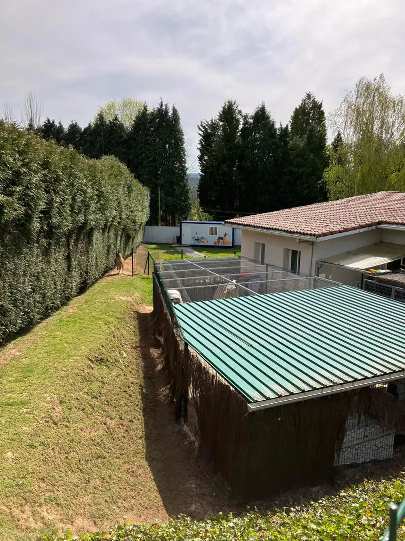 Garden of Houses for sale in Abegondo