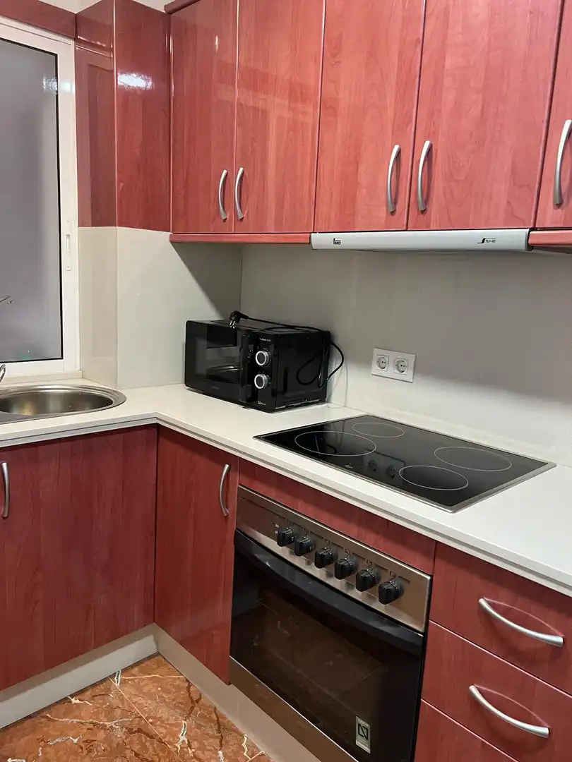 Appartamento con ascensore in affitto a Calle Doctor Azpitarte 12, imagen 4