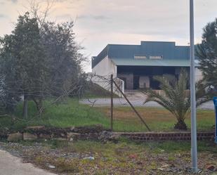 Vista exterior de Terreny industrial en venda en Azuaga