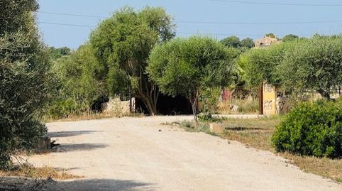 Finca cerca de Manacor, imatge 2