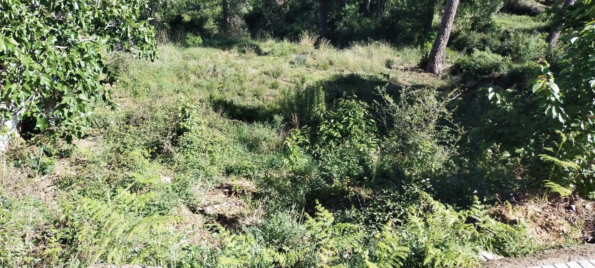 Terrenos y solares en venta en Riudarenes, imagen 3