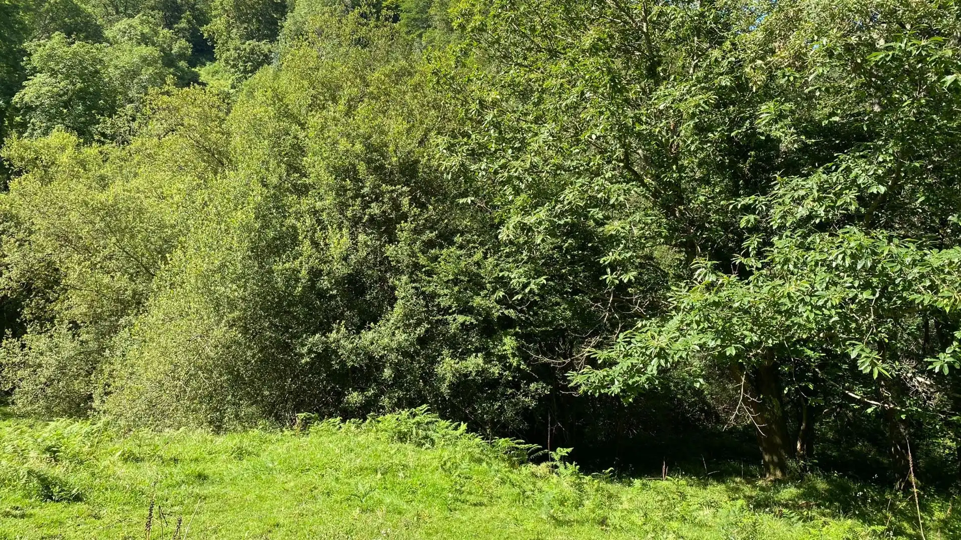 Terreno en venta en PRIESCA, Ponga