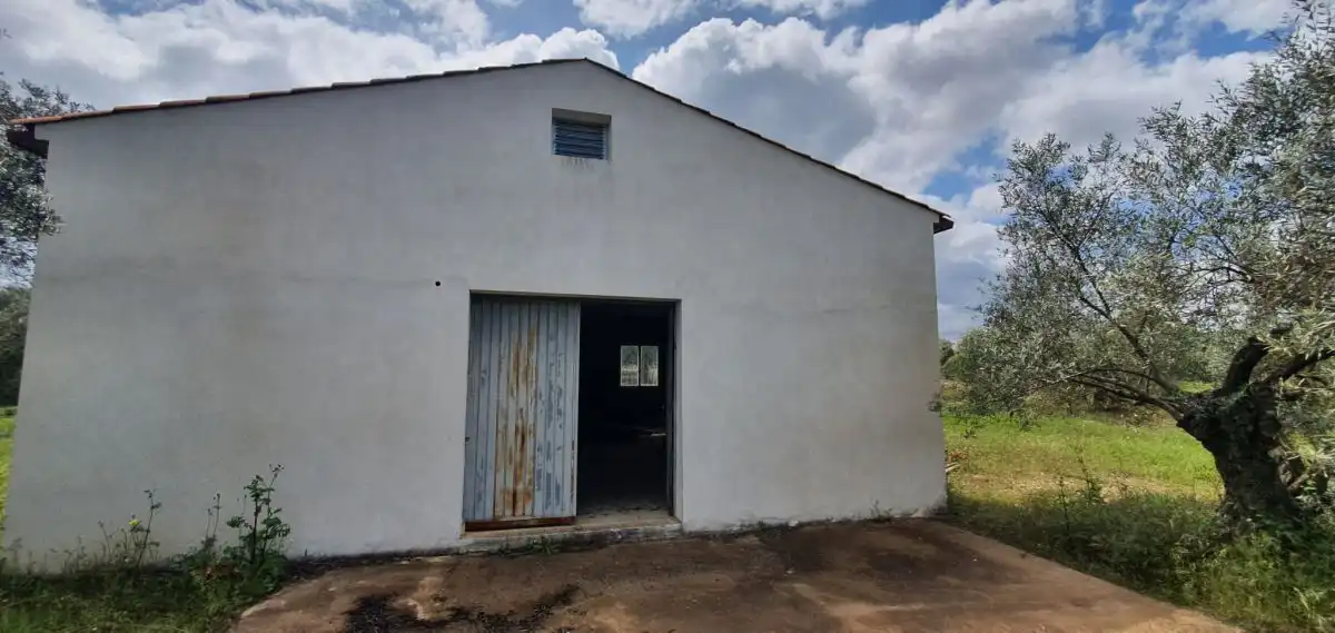 Exterior view of Country homes for sale in Bailén, Jaén