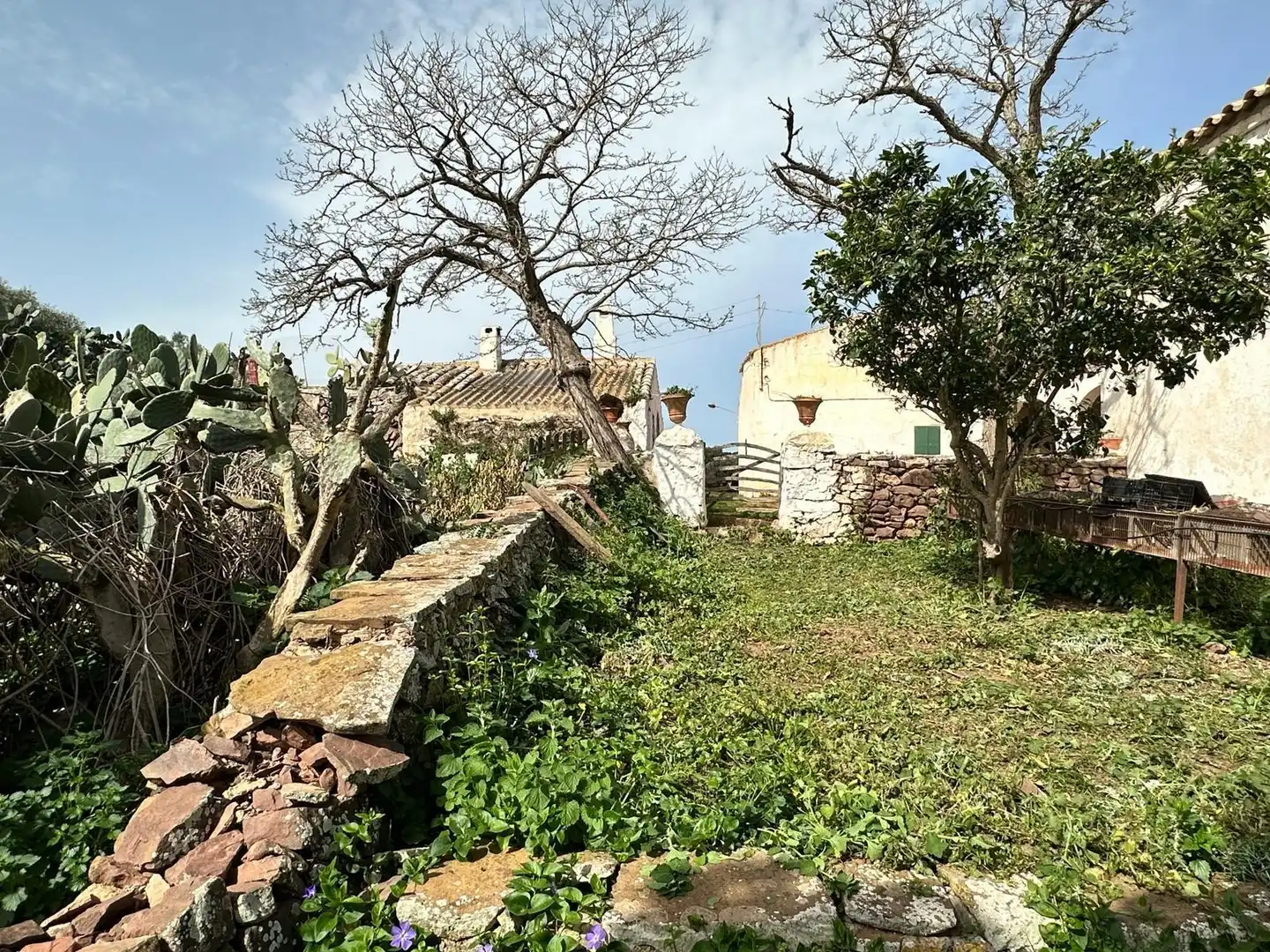 Casa amb jardí en venda a Ferreries poble, imagen 21