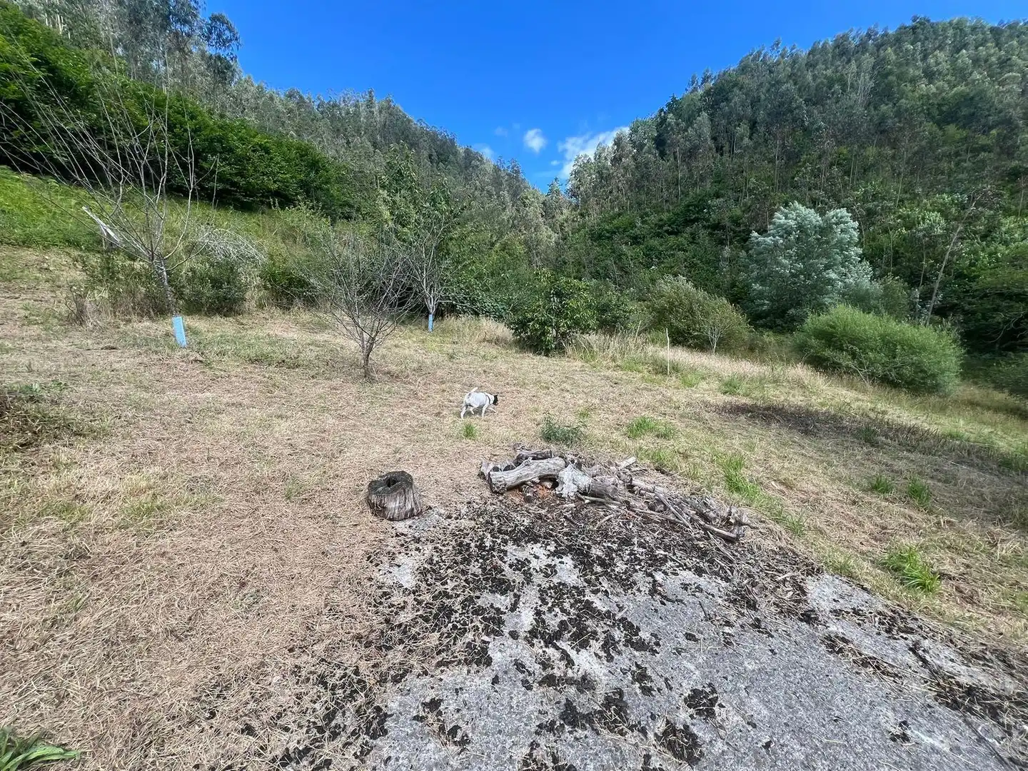 Casa o xalet en venda a Colunga