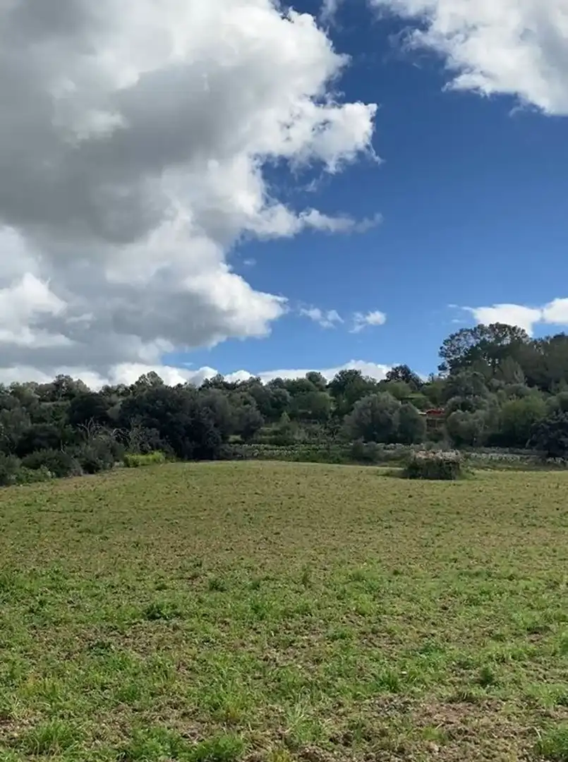 Wohnbaugrundstück zum Verkauf in Polígono POLIGONO, imagen 2