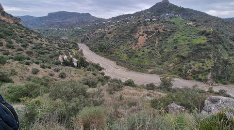 FINCA EN VENTA LA SOLANA  COLMENAR MALAGA