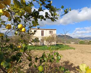 Vista exterior de Finca rústica en venda en Binissalem amb Jardí privat