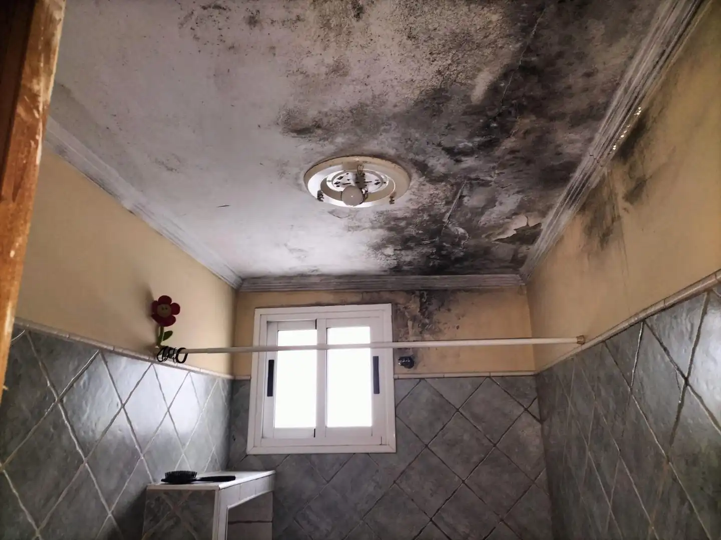 Casa en venda a Jerez Sur, imagen 13