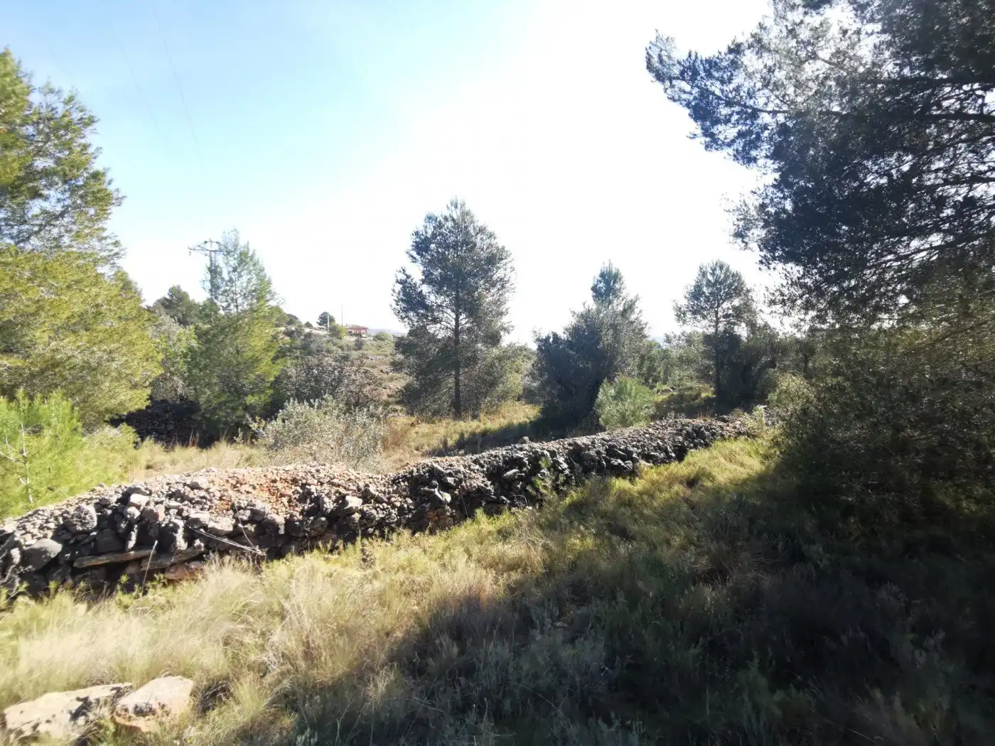 Finca rústica en venda en Chella