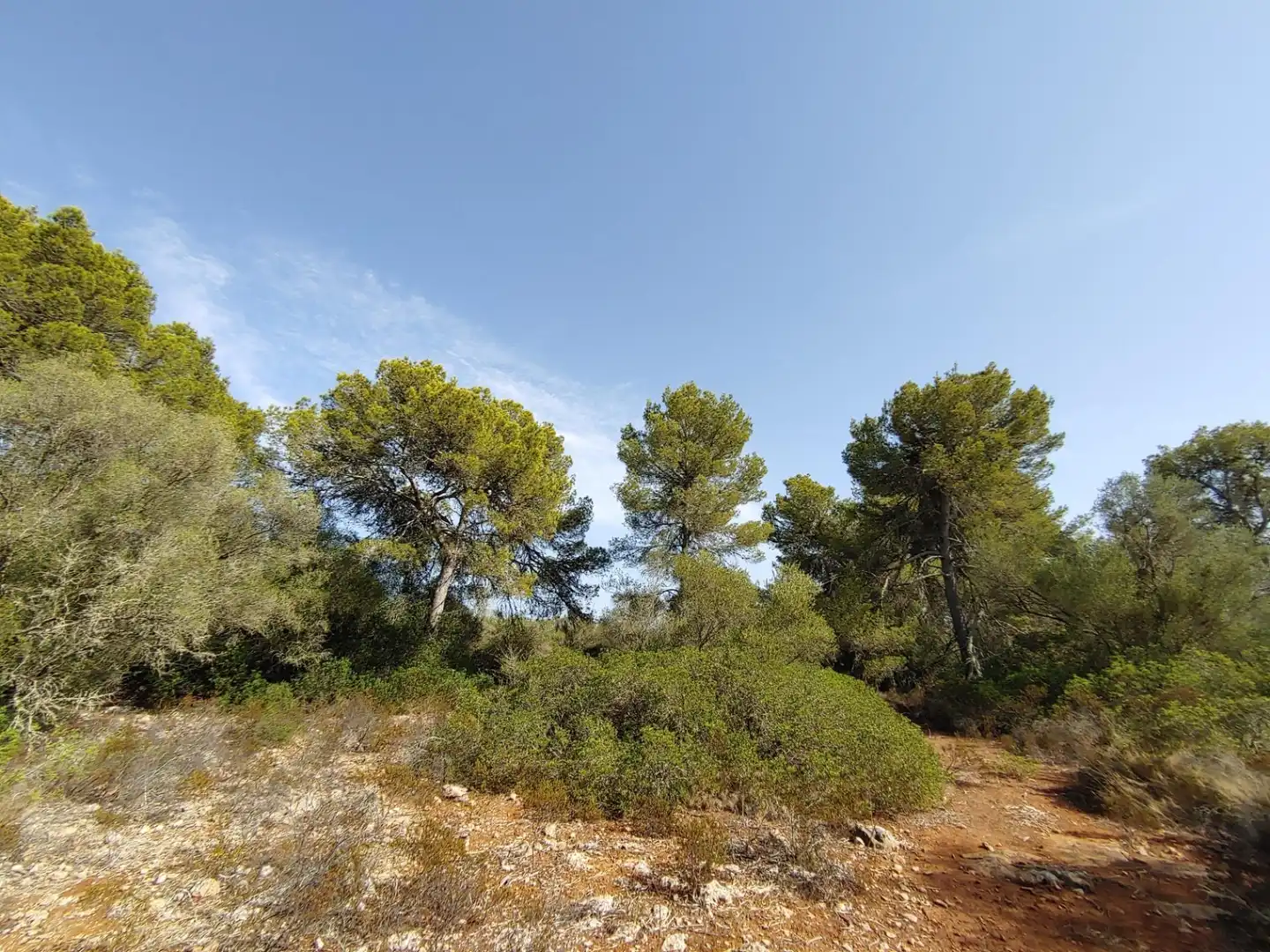 Residencial en venta en Polígono Parcela 12, Cala Pi - Vallgornera