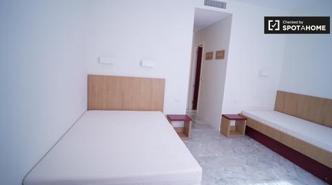 Photo 3 of Study to share in Triana Oeste, Sevilla