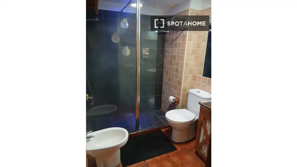Bathroom of Apartments for share in Candelaria  with Air Conditioner, Terrace and Furnished