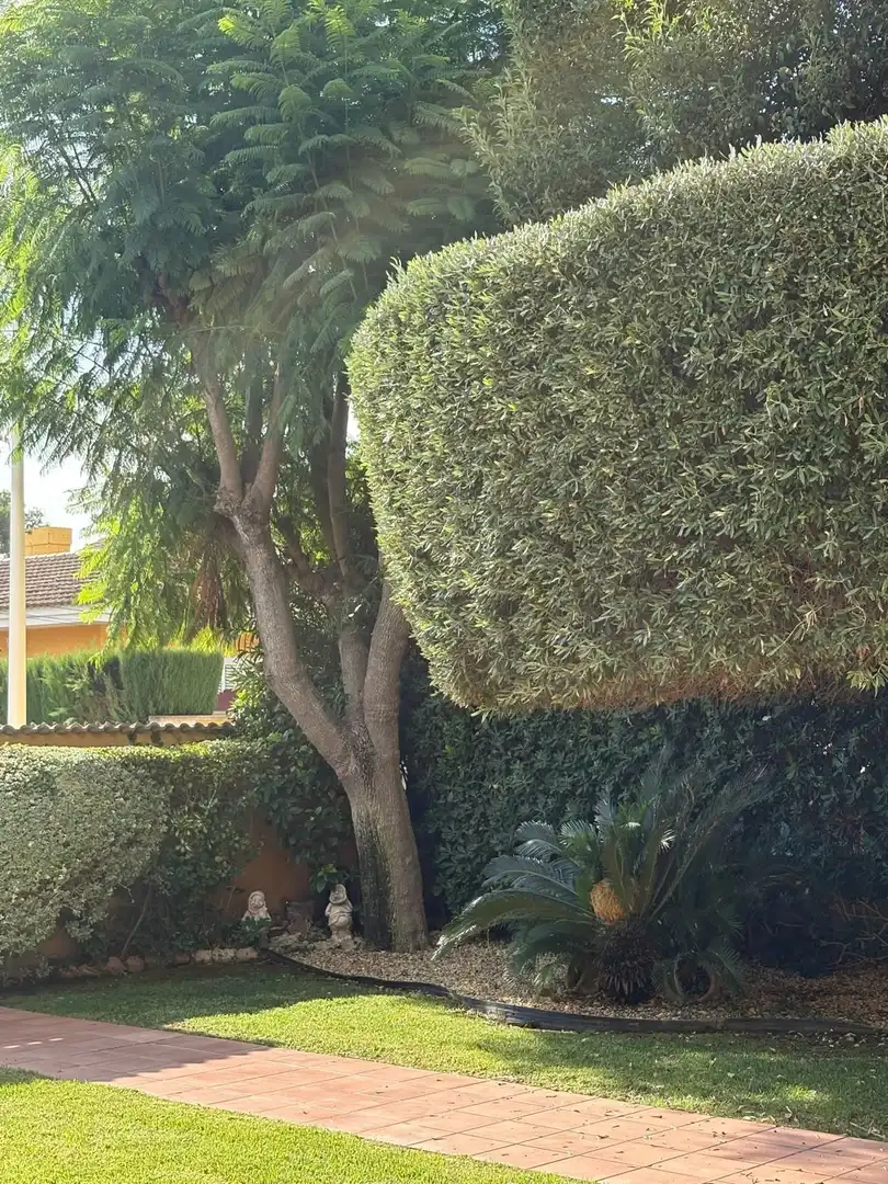 House with pool to rent in Riba-roja de Túria, imagen 10
