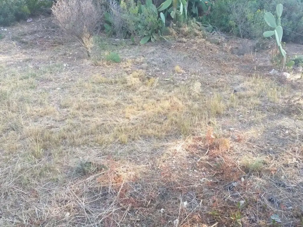 Residential land for sale in Pla de Maset - Cap de Salou, imagen 11