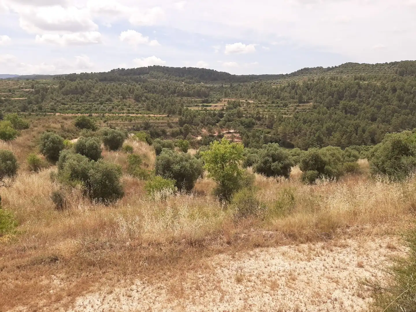 Casa adosada en venda en Cervià de Les Garrigues amb Jardí privat, Terrassa i Balcó