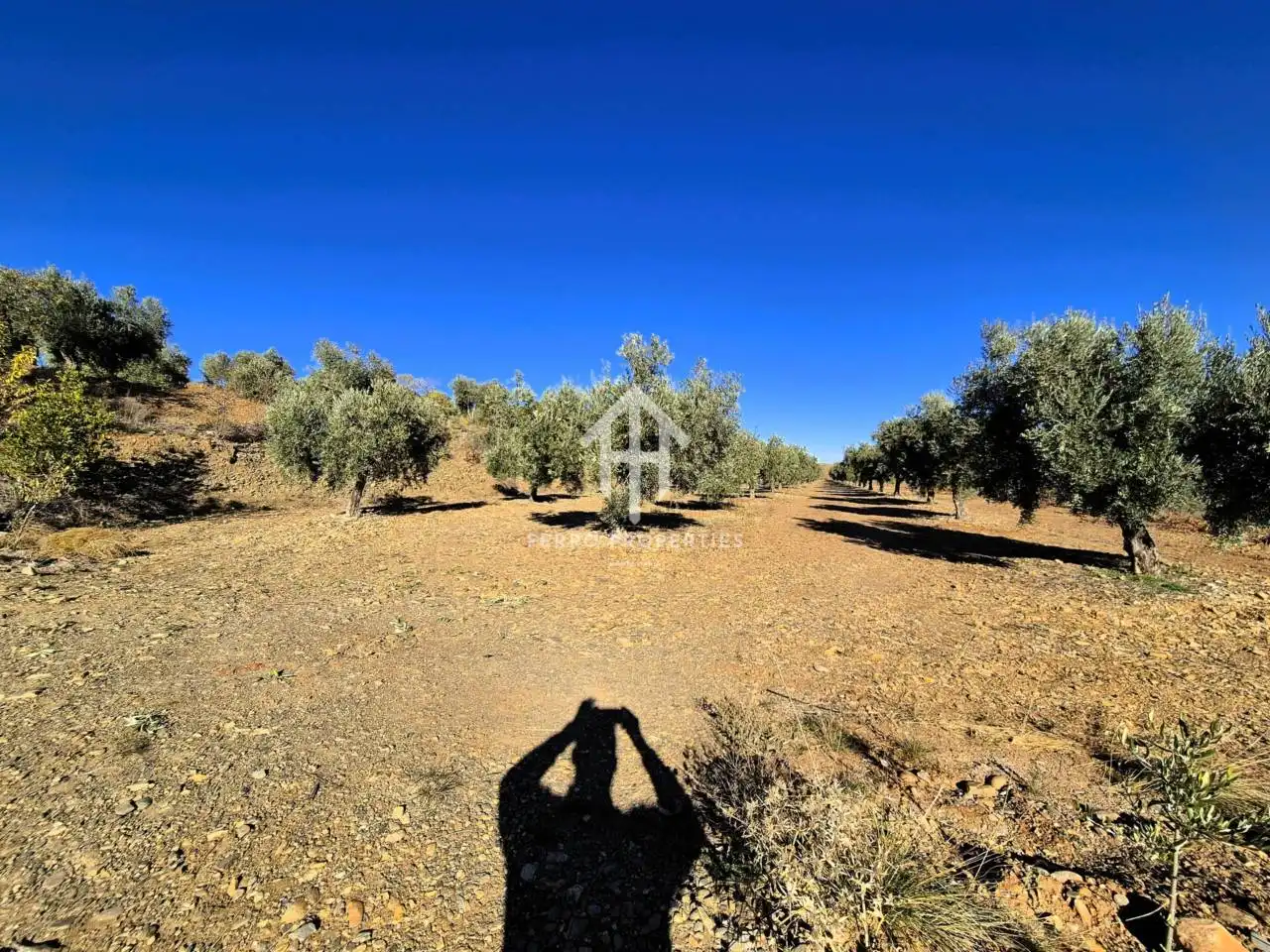Lands and plots for sale in Lanteira, imagen 26