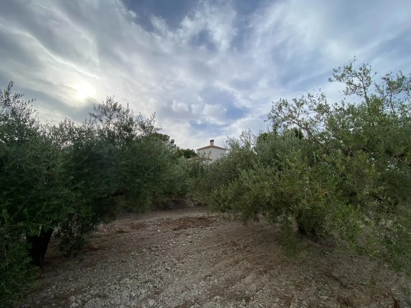 Casa o chalet en venta en Moratalla con Jardín privado, Terraza y Trastero