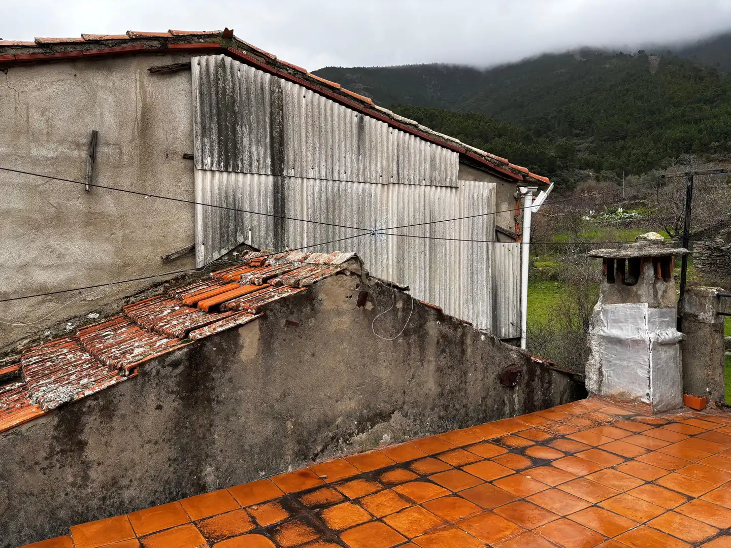 Exterior view of Houses for sale in Pinofranqueado