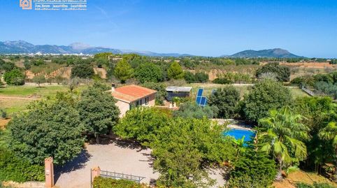 Impresionante Finca en Sencelles con Licencia Vacacional, immagine 2