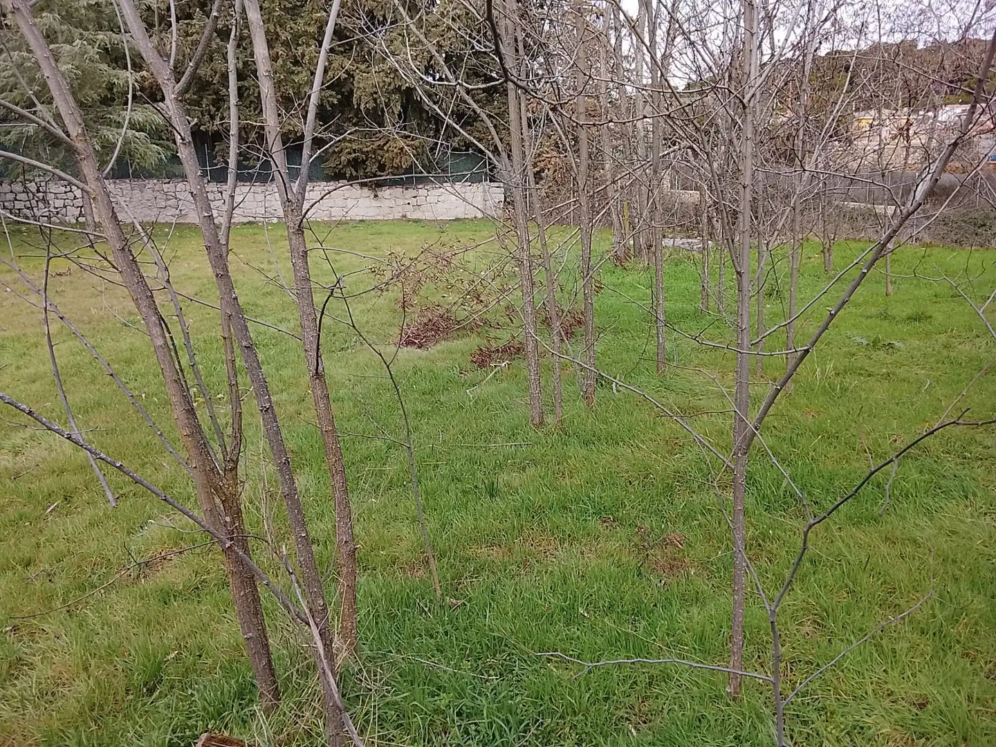 Terreni e lotti in vendita a El Hoyo de Pinares, imagen 4