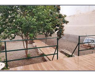 Terrace of House or chalet to rent in Pollença  with Private garden, Terrace and Furnished