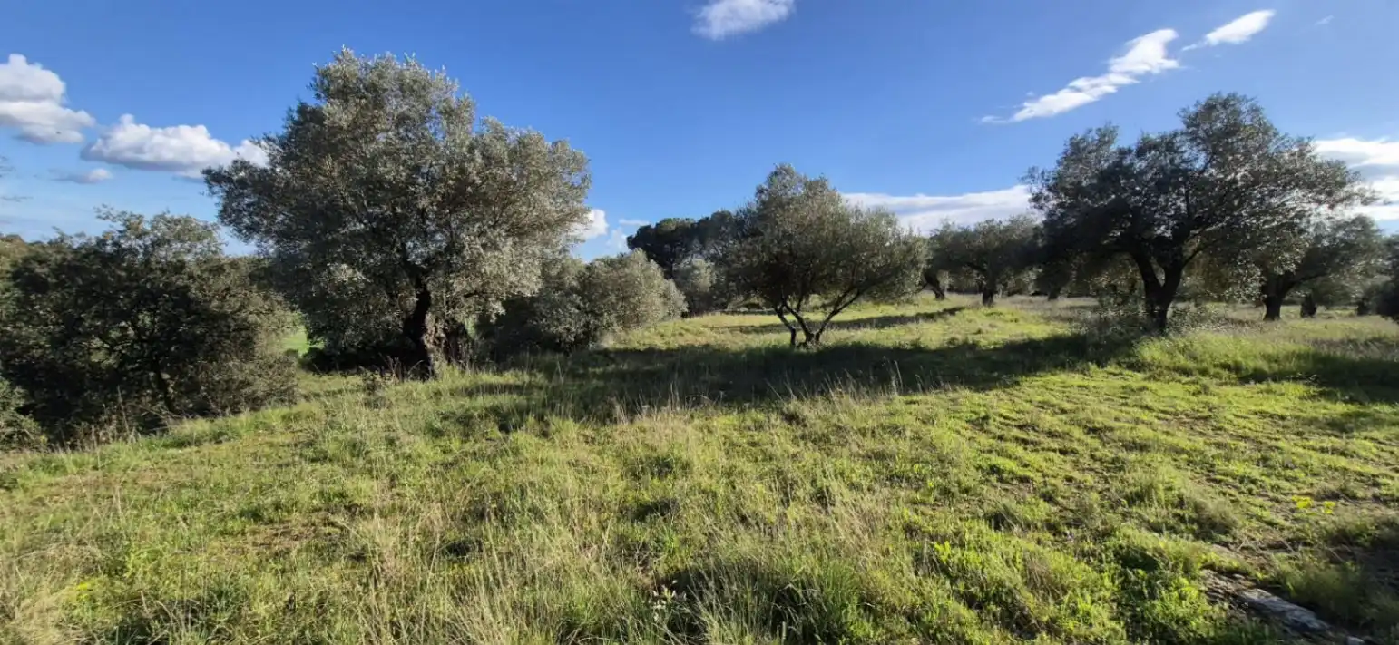 Residencial en venta en Ullastret
