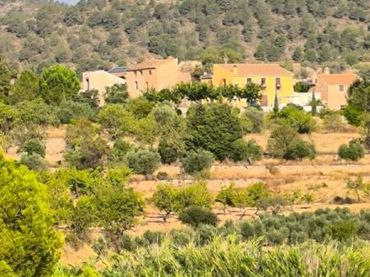 Maison à vendre à El Pinós / Pinoso