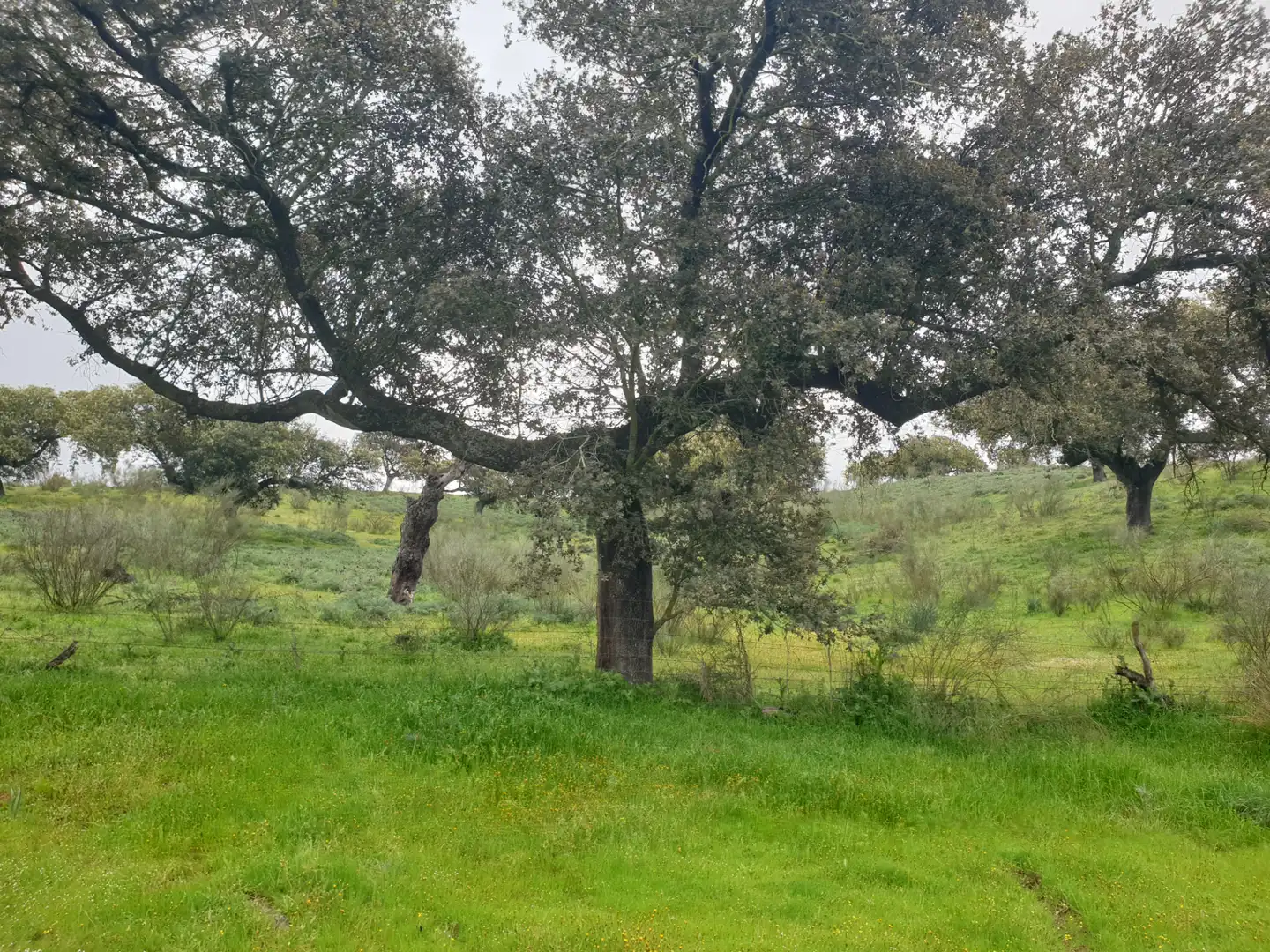 Terreni e lotti in vendita a Parque de la Constitución 5a