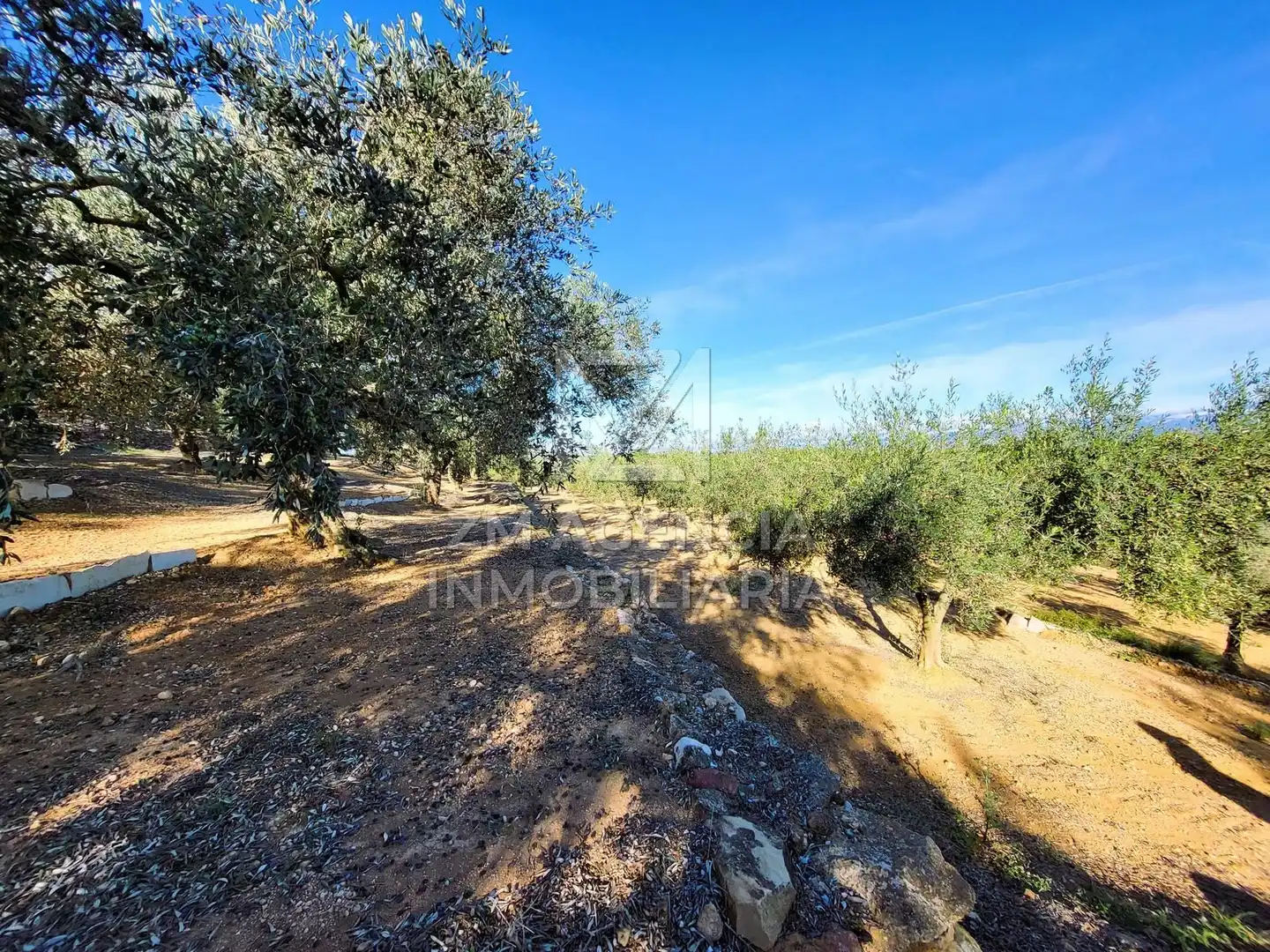 Casa rústica en venta en Traiguera, imagen 10