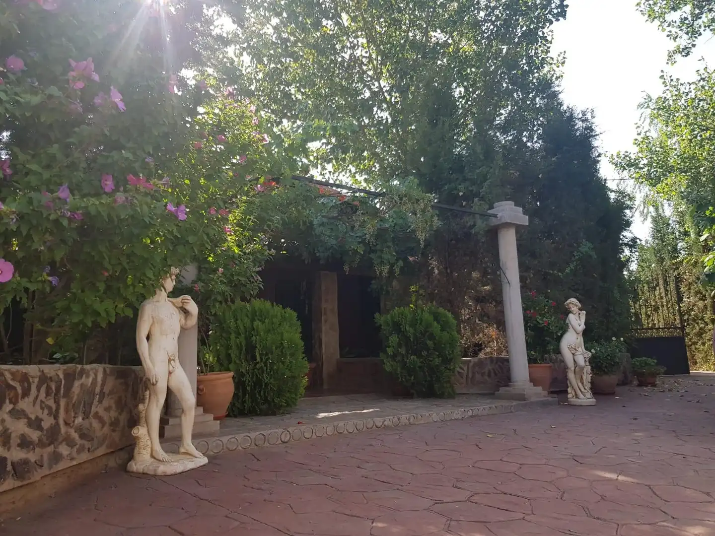 Jardín de Finca rústica en venta en Santa Cruz de Mudela