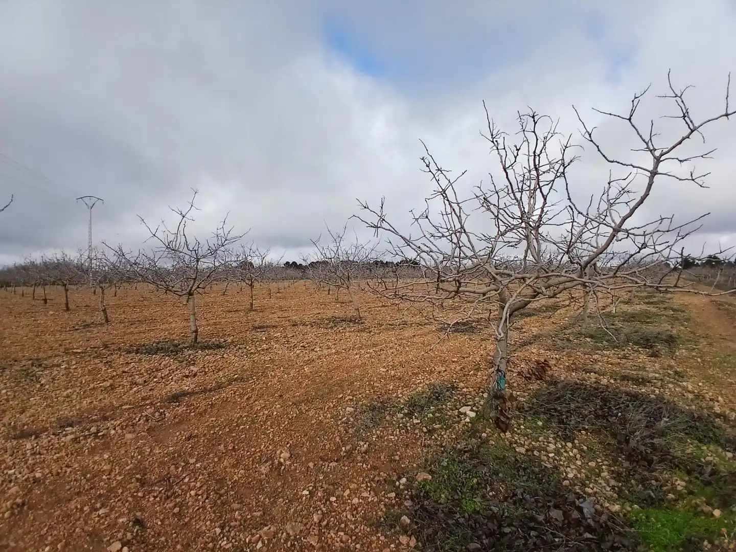 Rural land for sale in Carretera Solana, imagen 20