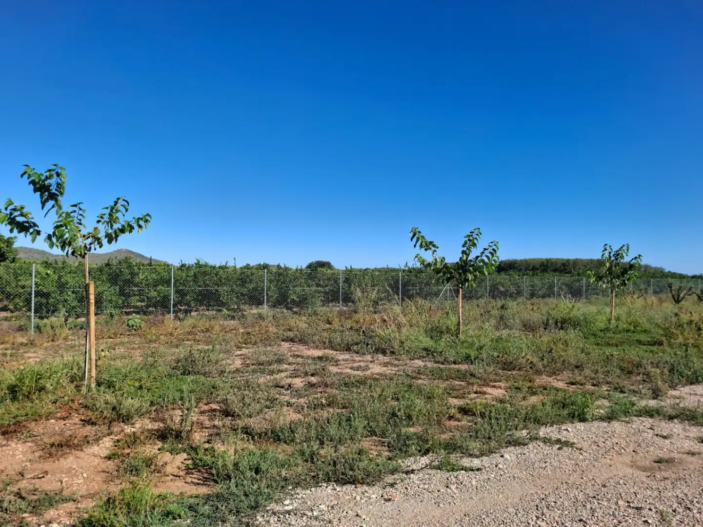 Terreny residencial en venda a Pego, imagen 20